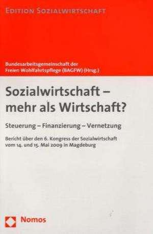 Sozialwirtschaft - Mehr ALS Wirtschaft?: Steuerung - Finanzierung - Vernetzung de Holger Backhaus-Maul