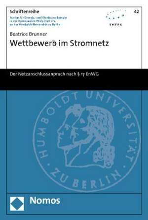 Wettbewerb im Stromnetz de Beatrice Brunner