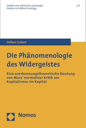 Çidam, V: Phänomenologie des Widergeistes