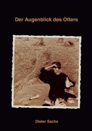 Der Augenblick des Otters de Dieter Sachs