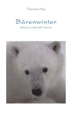 Bärenwinter de Theresa Hay