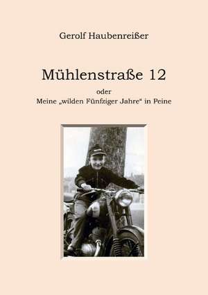 Mhlenstrae 12: The Collusion de Gerolf Haubenreißer