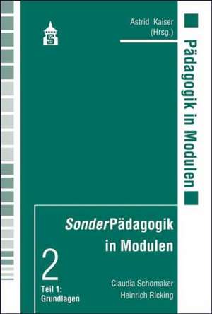 SonderPädagogik in Modulen de Claudia Schomaker