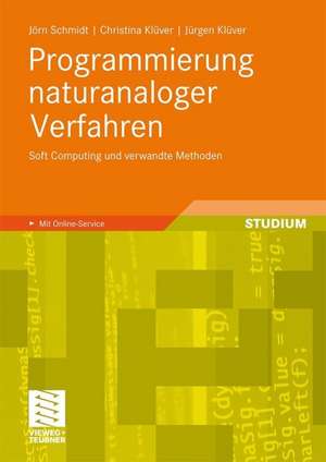 Programmierung naturanaloger Verfahren: Soft Computing und verwandte Methoden de Jörn Schmidt