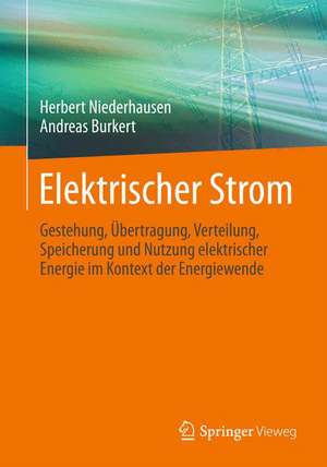 Elektrischer Strom: Gestehung, Übertragung, Verteilung, Speicherung und Nutzung elektrischer Energie im Kontext der Energiewende de Herbert Niederhausen