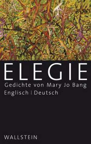 Elegie de Mary Jo Bang
