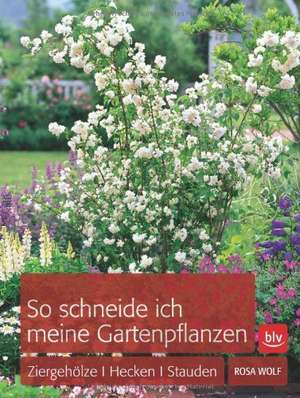 So schneide ich meine Gartenpflanzen de Rosa Wolf