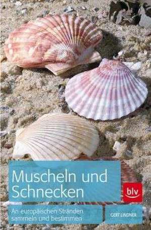 Muscheln und Schnecken de Gert Lindner