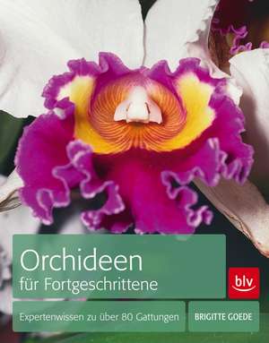 Orchideen für Fortgeschrittene de Brigitte Goede