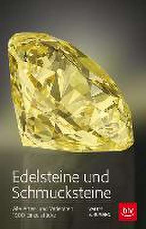 Edelsteine und Schmucksteine de Walter Schumann