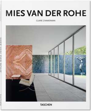 Mies Van Der Rohe Arhitecti