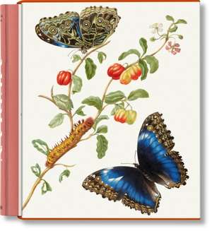 Merian de Katharina Schmidt-Loske