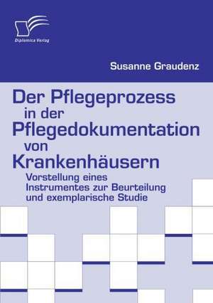 Der Pflegeprozess in Der Pflegedokumentation Von Krankenh Usern: Wie Man in Mesopotamien Karriere Machte de Susanne Graudenz