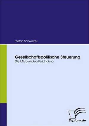 Gesellschaftspolitische Steuerung de Stefan Schweizer