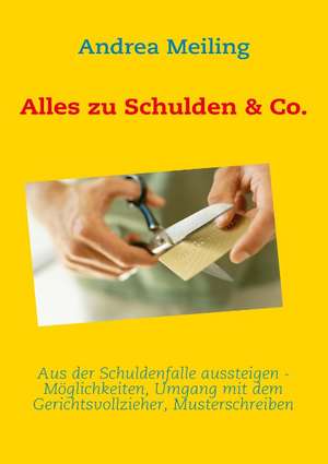 Alles zu Schulden & Co. de Andrea Meiling