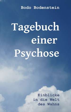 Tagebuch einer Psychose de Bodo Bodenstein