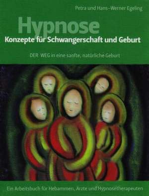 Hypnose - Konzepte Fur Schwangerschaft Und Geburt: Wie Man Mit Hilfe Der Besten Kapitalanlage Die Abgeltungssteuer Umgehen Kann de Petra Egeling