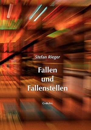 Fallen Und Fallenstellen: Amy Goodman de Stefan Rieger