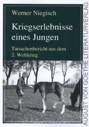 Kriegserlebnisse eines Jungen de Werner Niegisch
