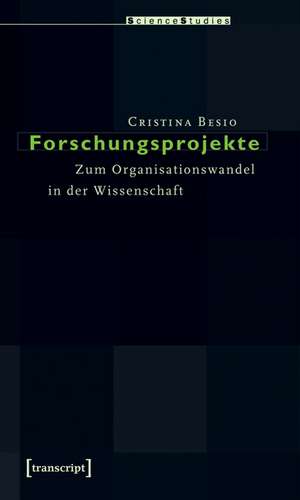 Forschungsprojekte de Cristina Besio