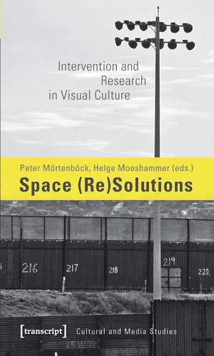 Space (Re)Solutions: Intervention and Research in Visual Culture de Peter Mrtenbck