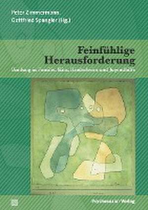 Feinfühlige Herausforderung de Peter Zimmermann