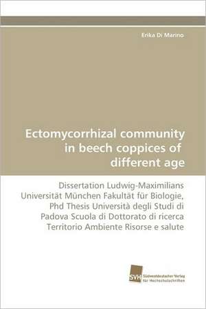 Ectomycorrhizal Community in Beech Coppices of Different Age: A Novel Histone Lysine Mono-Methyltransferase de Erika Di Marino