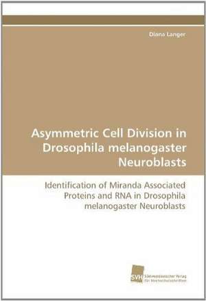 Asymmetric Cell Division in Drosophila Melanogaster Neuroblasts: Belastungen Und Angehorigengruppen de Diana Langer