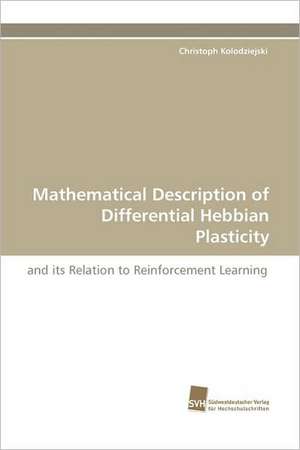 Mathematical Description of Differential Hebbian Plasticity de Christoph Kolodziejski