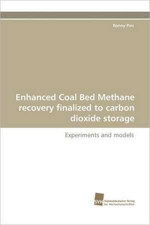 Enhanced Coal Bed Methane Recovery Finalized to Carbon Dioxide Storage: Communities in Private-Collective Innovation de Ronny Pini