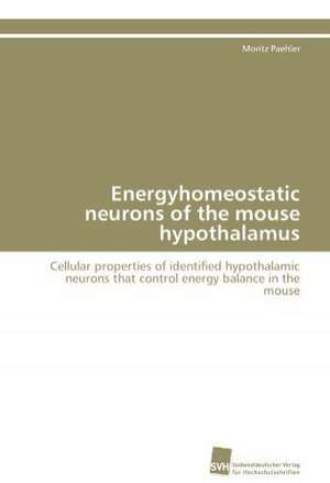 Energyhomeostatic Neurons of the Mouse Hypothalamus: From Bulk to Heterostructures de Moritz Paehler