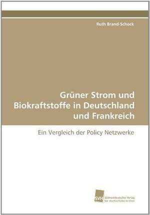 Gruner Strom Und Biokraftstoffe in Deutschland Und Frankreich: Transformation Und Spaltungen de Ruth Brand-Schock