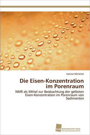 Die Eisen-Konzentration Im Porenraum: An Alternative Succession Route for Family Firms de Ivonne Mitreiter