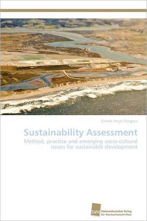 Sustainability Assessment de Ernest Anye Fongwa