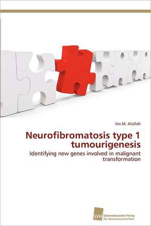 Neurofibromatosis Type 1 Tumourigenesis: Measurement and Source Allocation de Isis M. Atallah