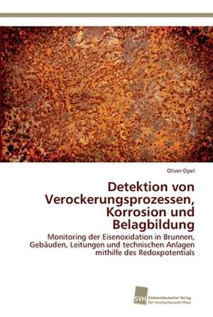 Detektion von Verockerungsprozessen, Korrosion und Belagbildung de Oliver Opel