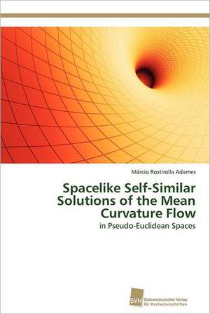 Spacelike Self-Similar Solutions of the Mean Curvature Flow de Márcio Rostirolla Adames