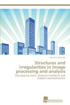 Structures and irregularities in image processing and analysis de Jean-Luc Bouchot