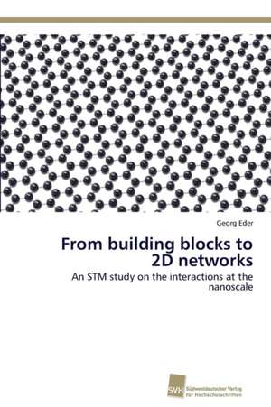 From building blocks to 2D networks de Georg Eder