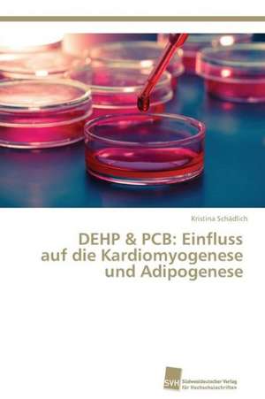 DEHP & PCB: Einfluss auf die Kardiomyogenese und Adipogenese de Kristina Schädlich