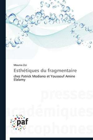 Esthétiques du fragmentaire de Mounia Zizi