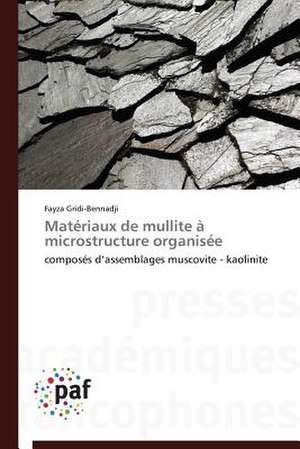 Matériaux de mullite à microstructure organisée de Fayza Gridi-Bennadji