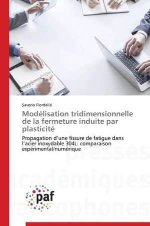 Modélisation tridimensionnelle de la fermeture induite par plasticité de Saverio Fiordalisi