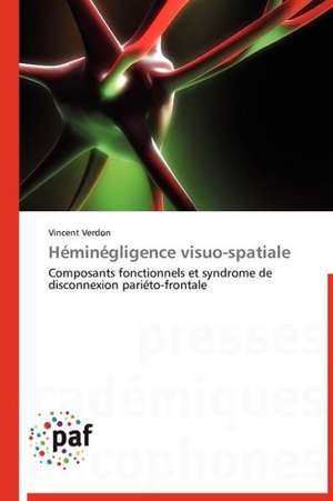 Héminégligence visuo-spatiale de Vincent Verdon