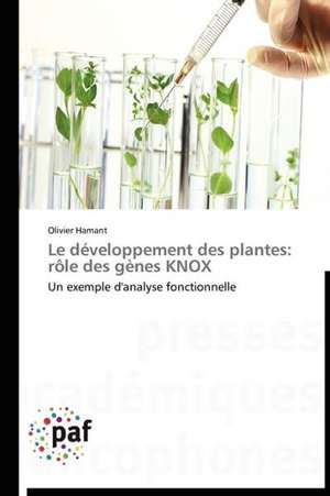 Le développement des plantes: rôle des gènes KNOX de Olivier Hamant