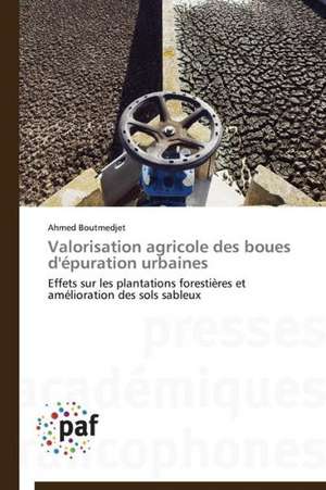 Valorisation agricole des boues d'épuration urbaines de Ahmed Boutmedjet