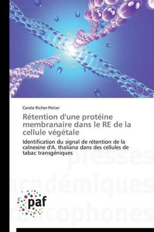 Rétention d'une protéine membranaire dans le RE de la cellule végétale de Carole Richer-Potier