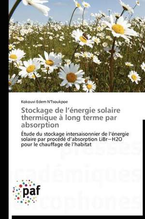 Stockage de l¿énergie solaire thermique à long terme par absorption de Kokouvi Edem N'Tsoukpoe