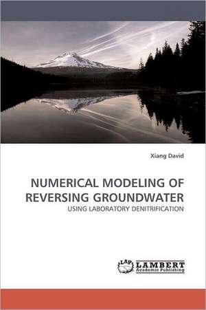 Numerical Modeling of Reversing Groundwater de Xiang David