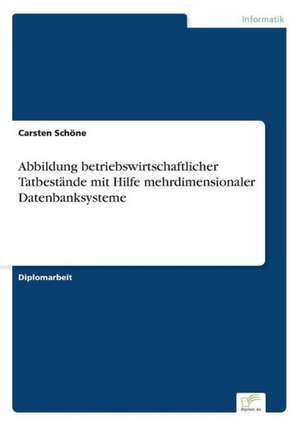 Abbildung betriebswirtschaftlicher Tatbestände mit Hilfe mehrdimensionaler Datenbanksysteme de Carsten Schöne